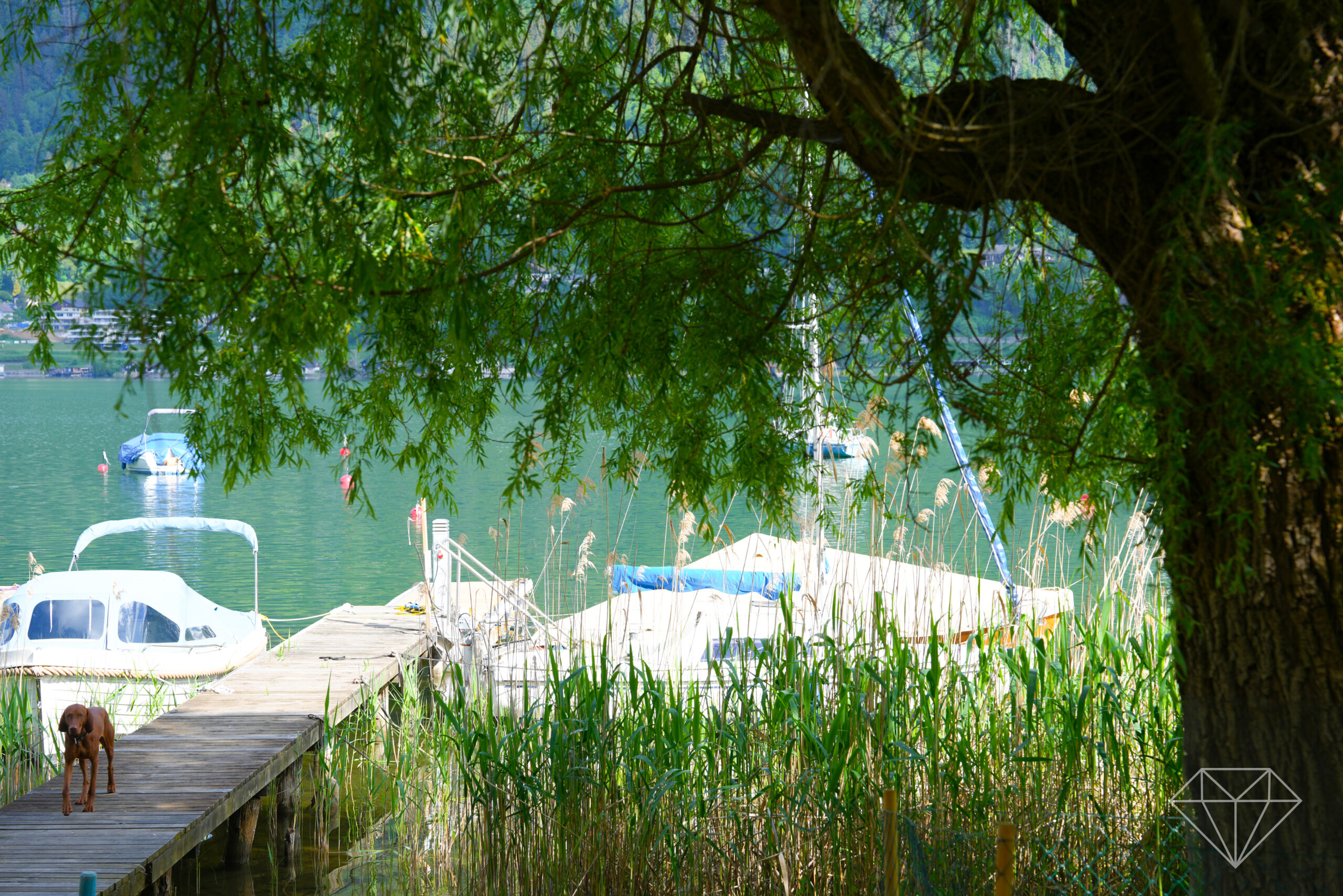 Objekt Header