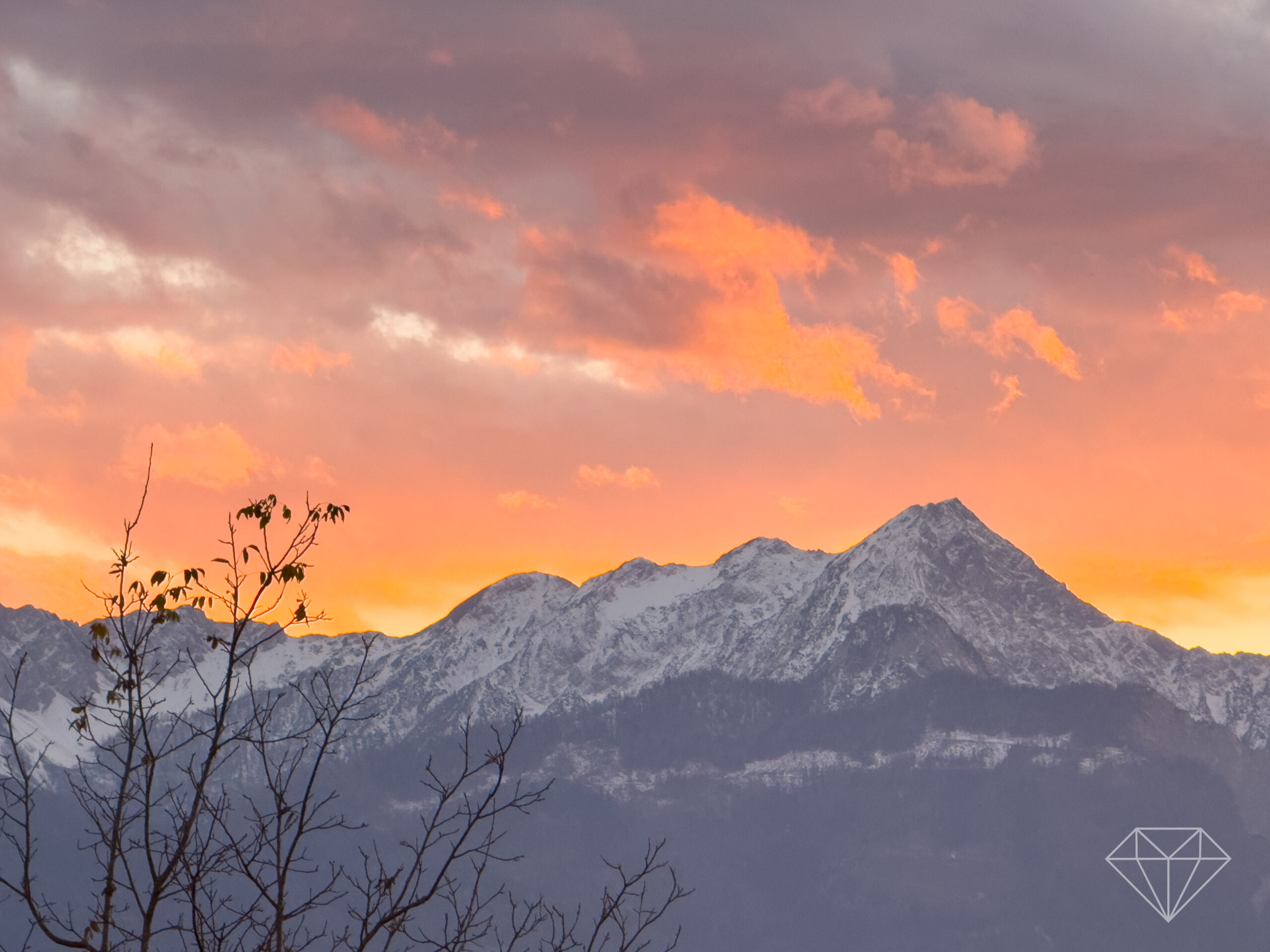 Objekt Header