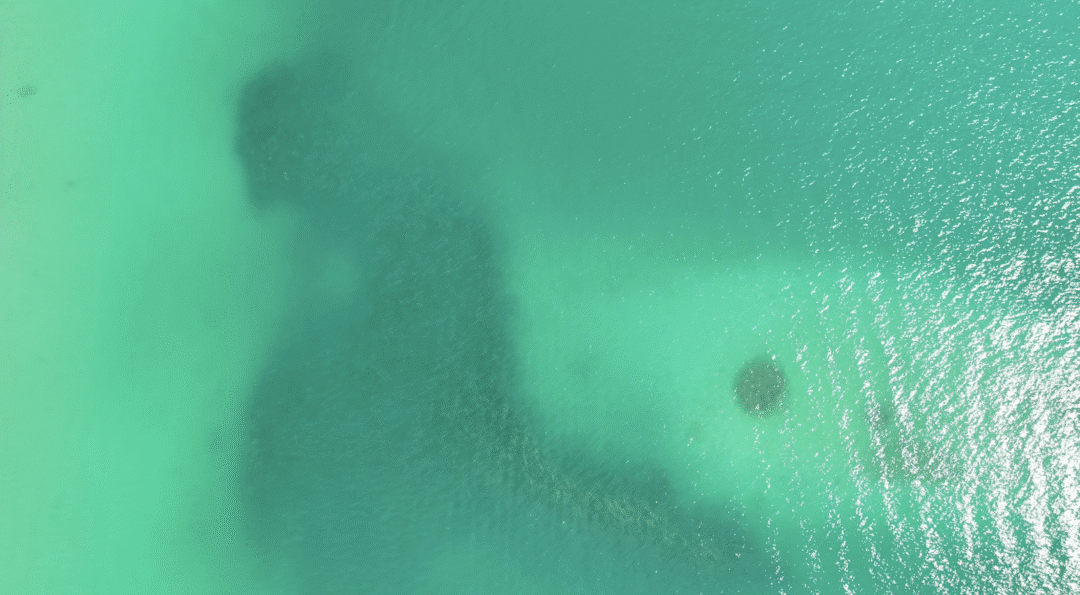 Bildschirmfoto 2025-07-24 um 09.13.16